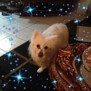 Meet your Posher, Kelli